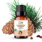 Cedarwood Essential Oil